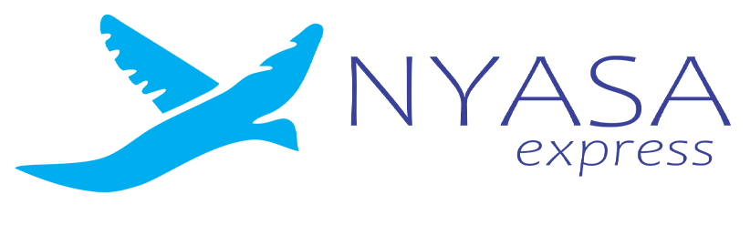Fly Nyasa Logo