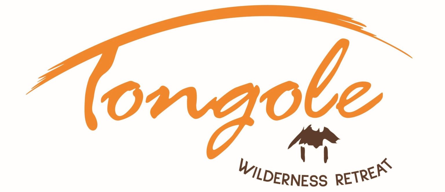 Tongole Wilderness Lodge - NkhotaNkhota